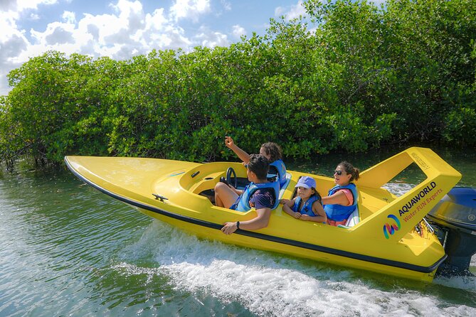 Mangrove Jungle Speedboat Experience - Nichupte Lagoon Mangroves: The Ride Between Stops
