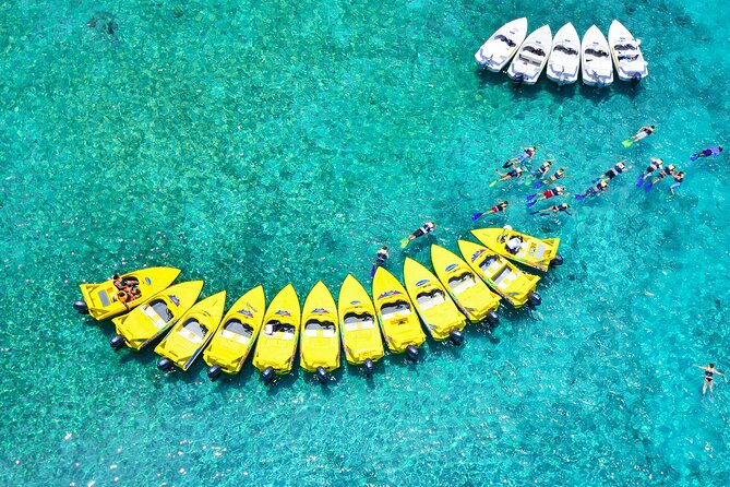 Mangrove Jungle Speedboat Experience - Stop 2 at Museo Subacuatico de Arte: A Different Kind of Cancun