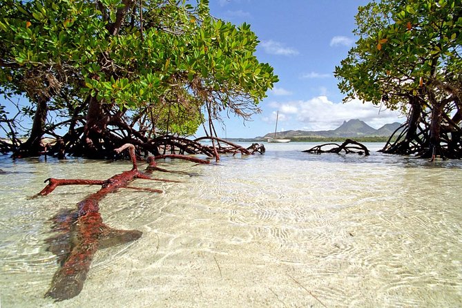 Marvelous Ile aux Cerf island: Speed Boat, Parasailing, Lunch & GRSE waterfall - Key takeaways before you go