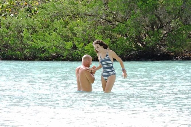 Marvelous Ile aux Cerf island: Speed Boat, Parasailing, Lunch & GRSE waterfall - The return by speedboat: fast finish, wet hair included