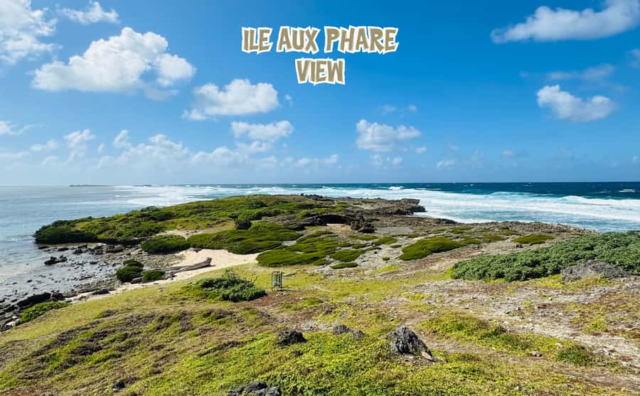 Mauritius: 5 Islands of the East Speedboat Tour with BBQ - The dolphin watching “secret stop” and how to think about it