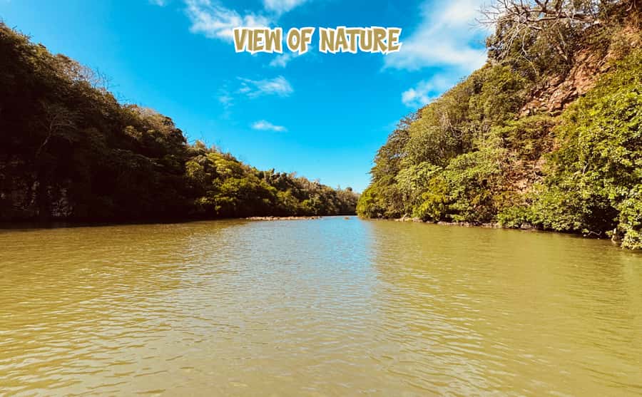 Mauritius: 5 Islands of the East Speedboat Tour with BBQ - Snorkeling stop near Île aux Aigrettes: what you’ll actually do