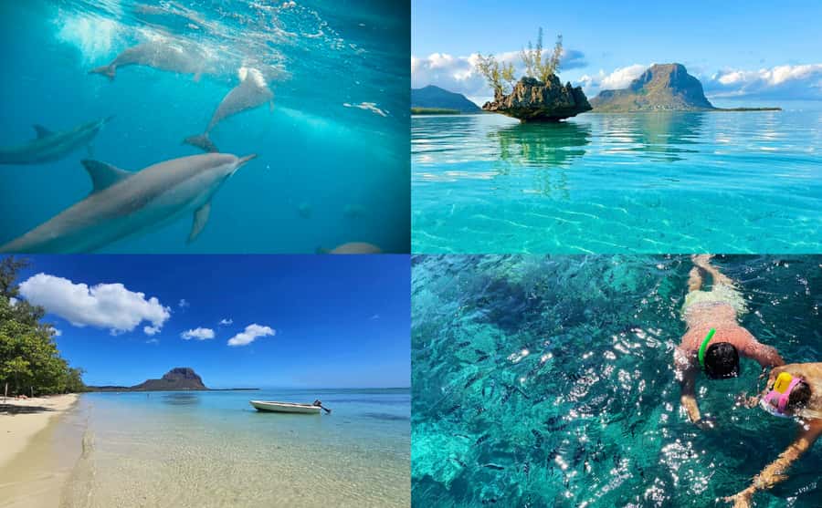 Mauritius: Benitier Island - Swim Dolphins - Speedboat & BBQ - Crystal Rock cruise-by: iconic, photo-friendly, and quick