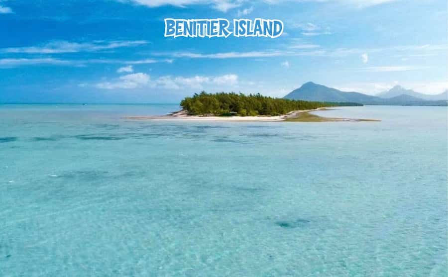 Mauritius: Benitier Island - Swim Dolphins - Speedboat & BBQ - BBQ lunch on Benitier Island: the meal is genuinely the point