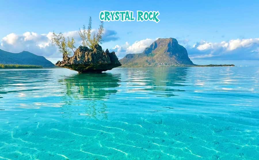 Mauritius: Benitier Island - Swim Dolphins - Speedboat & BBQ - Tour style and who it fits best