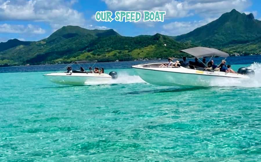 Mauritius: Benitier Island - Swim Dolphins - Speedboat & BBQ - Snorkeling coral lagoons: the reefs are the real treasure hunt