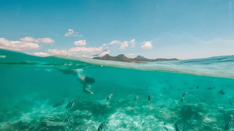 Mauritius: Full-Day Speedboat Tour to Ile aux Cerfs & BBQ - Drinks on board and the guide factor: Hans, Giovanni, and the rest of the crew
