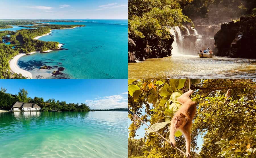 Mauritius: Ile aux Cerfs Speedboat Tour with Lunch & Drinks - Cruising Mangroves by Speedboat: Wildlife, Protection, and Cool Air