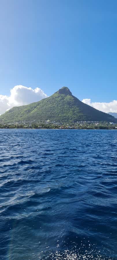 Mauritius: Snorkel and Swim with Dolphins on Speedboat Tour - Responsible Dolphin Encounters: Know the Ground Rules