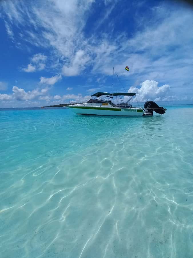 Mauritius: Snorkeling with turtles Le Transporteur speedboat - What actually happens on the water (gear, crew, and the turtle moment)