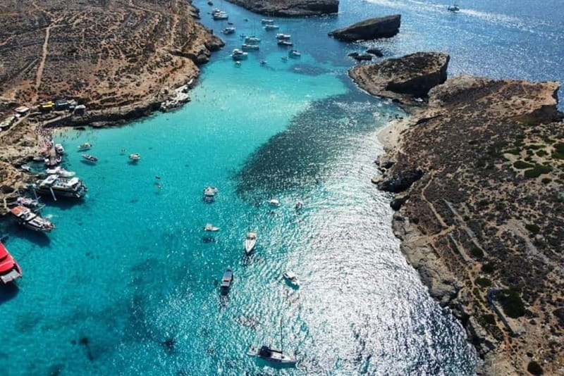 Mellieha: 1:00pm Speedboat round Comino Caves 2h Blue Lagoon - Snorkeling and fish time: what to expect in the lagoon