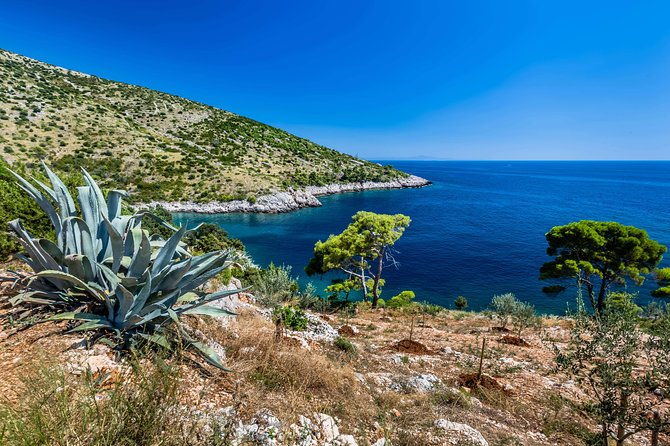 Mesmerizing Hvar speed boat tour with optional wine tasting - Price, Group Size, and When It’s a Bargain