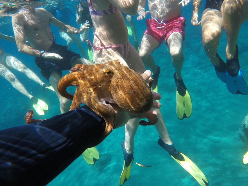 Milos: Half-Day Speedboat Cruise to Klefiko with Snorkeling - The Snack Spread Isn’t Just Fuel