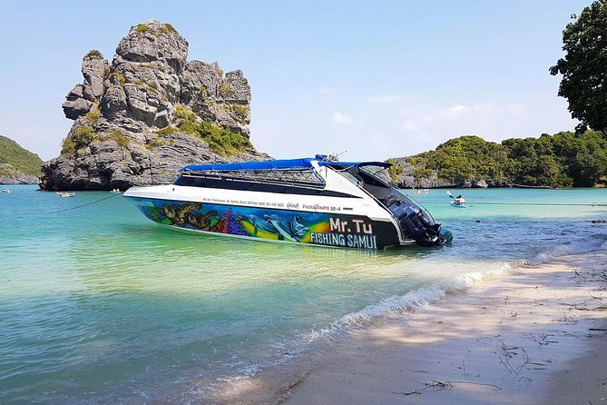 Mr. Tu Day Trip to Angthong Marine Park by Speed Boat from Koh Samui - Key points before you go