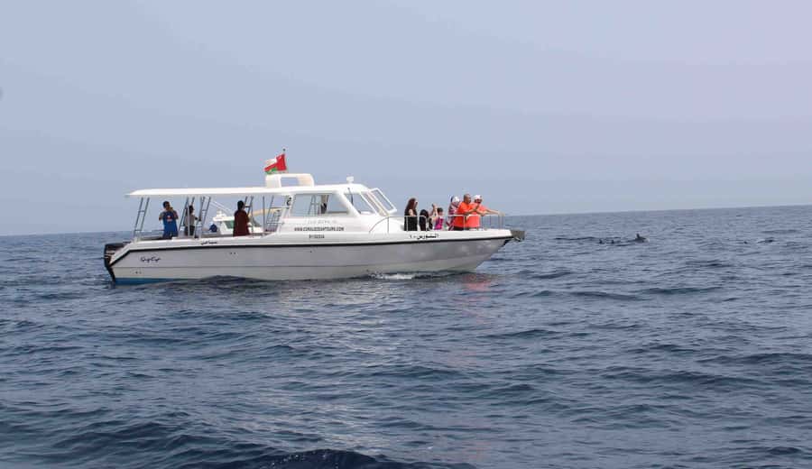 Muscat: Dolphin Watching and Snorkeling Tour By Speed Boat - Key Points Before You Go
