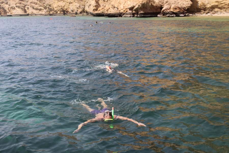 Muscat: Dolphin Watching and Snorkeling Tour By Speed Boat - Meeting Coral Ocean Tours at Marina Bandar Al Rowdha (Sidab)