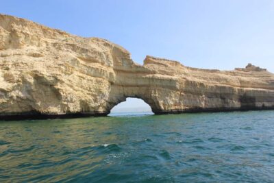 Muscat: Dolphin Watching and Snorkeling Tour By Speed Boat - Dolphin Watching by Speed Boat: The Timing That Changes