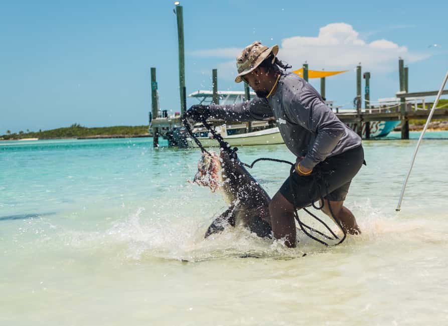 Nassau: Exuma Powerboat Day Trip - Ship Channel Cay: Your Own Private Island Stretch