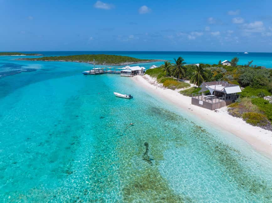 Nassau: Exuma Powerboat Day Trip - Wildlife Encounters That Actually Matter: Pigs, Iguanas, Stingrays, and Sharks