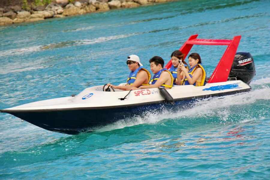 Nassau: Self-Drive Speedboat Ride and Pig Swimming Encounter - Anthol Island Pig Beach: Feeding and Swimming With Ocean Pigs