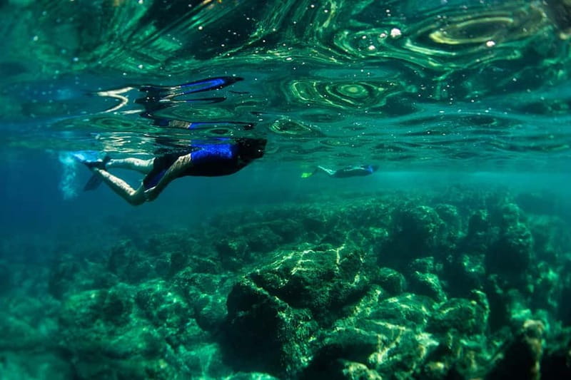 Nice: Snorkeling Speedboat Tour in Villefranche Bay - What Makes This Snorkeling Speedboat Trip Worth Your Time