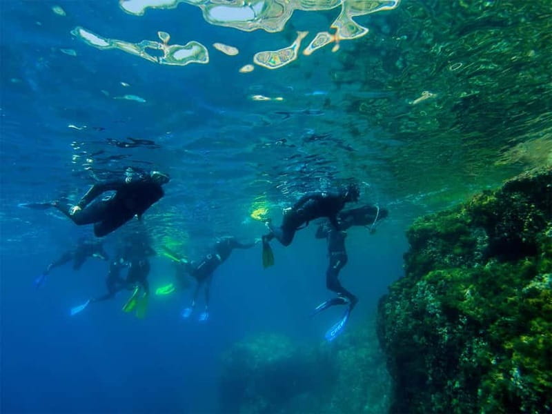 Nice: Snorkeling Speedboat Tour in Villefranche Bay - The Speedboat Cruise from Nice: The Scenery Part You’ll Actually Remember