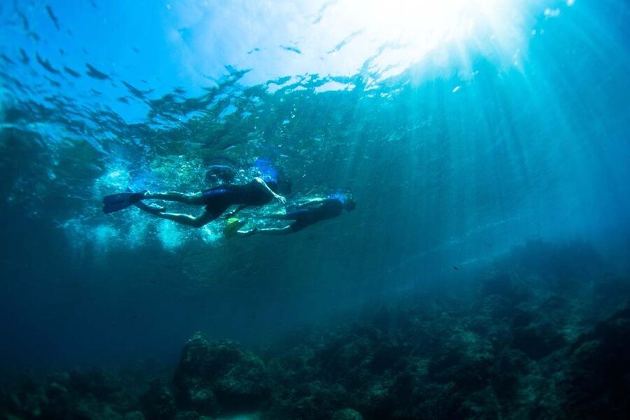 Nice: Snorkeling Speedboat Tour in Villefranche Bay - Wildlife and Jellyfish Reality Check (And How This Tour Handles It)