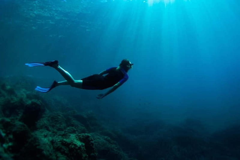 Nice: Snorkeling Speedboat Tour in Villefranche Bay - Equipment Check: What You’ll Use and What You Should Look Out For