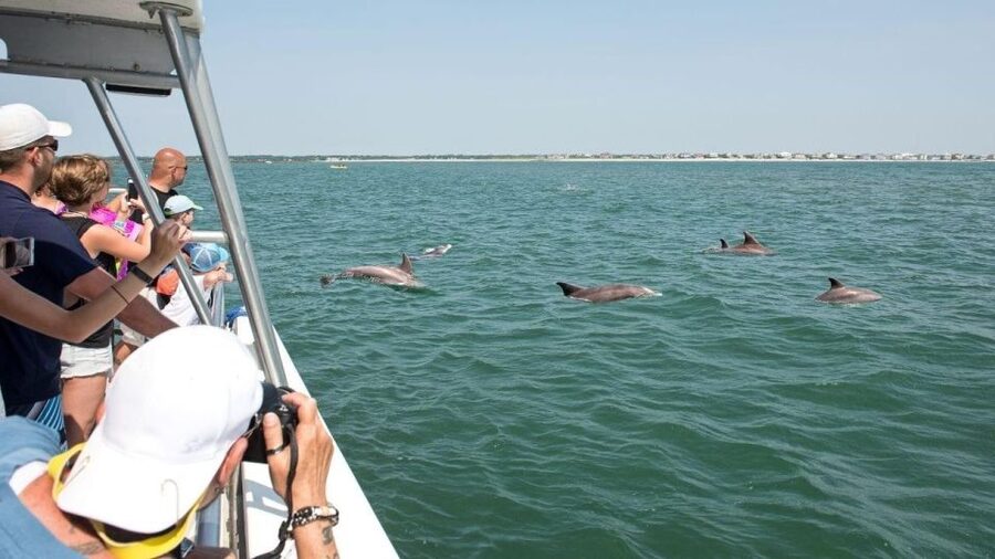 Ocean City, MD: Coastal Speedboat Tour with Dolphin Spotting - Crew Vibe and Captain Skills: More Than Just Driving Fast