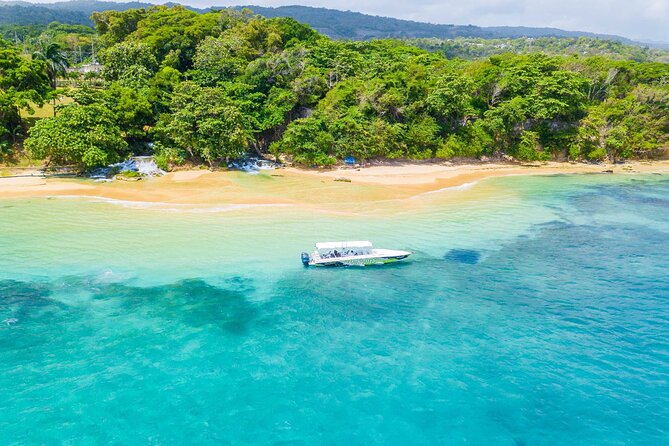 Ocho Rios Powerboat & Dunn’s River Falls Adventure - Why This Ocho Rios Powerboat Day Feels Faster Than the Usual Sightseeing