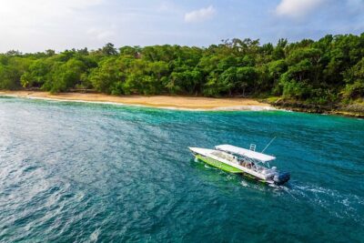 Ocho Rios Powerboat & Dunn’s River Falls Adventure - Morning Start: Hotel Pickup and the Small-Group Boat Size