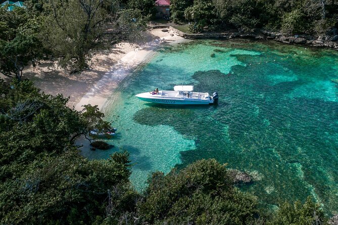 Ocho Rios Powerboat & Dunn’s River Falls Adventure - Drinks, Shade, and What to Bring for a Smooth Day