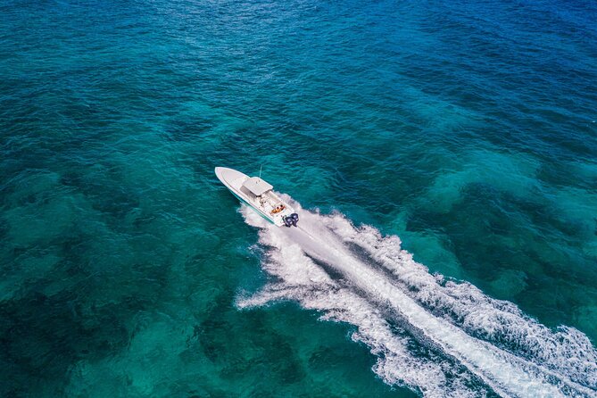 Ocho Rios Powerboat & Dunn’s River Falls Adventure - Price and Value: Does $240 Make Sense for What You Get?