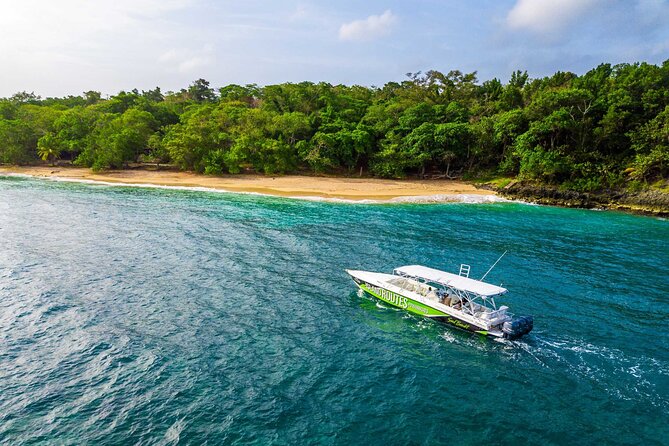 Ocho Rios Powerboat & Dunn’s River Falls Adventure - Morning Start: Hotel Pickup and the Small-Group Boat Size
