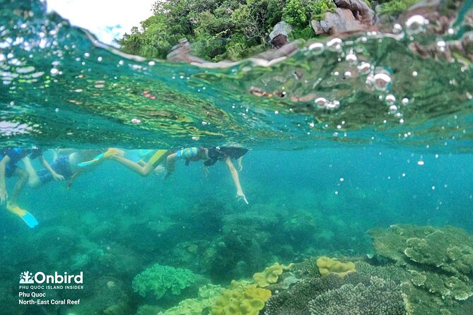 OnBird - Private family KID-FRIENDLY Snorkeling trip by speedboat in Phu Quoc - The underwater guide experience: English support and hands-on direction