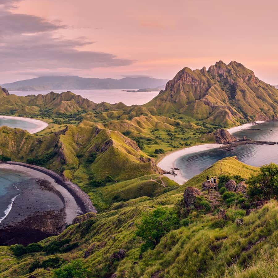 One-Day Komodo Tour By Speedboat - Speedboat Komodo Day Trip From Labuan Bajo: The Pace You’re Booking