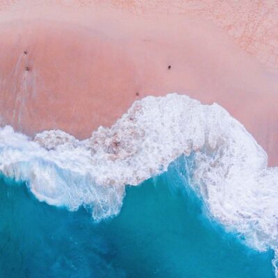 One-Day Komodo Tour By Speedboat - Pink Beach and Komodo Island: Wildlife + That Signature Color