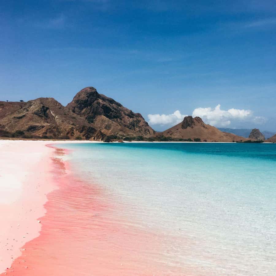 One-Day Komodo Tour By Speedboat - Kanawa Island: A Break in the Middle of Speed and Salt