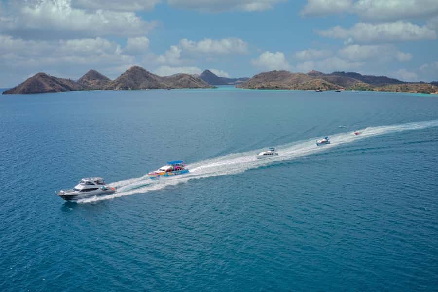 One-Day Komodo Tour By Speedboat - Price and Entrance Fees: What $97 Covers (and What It Doesn’t)