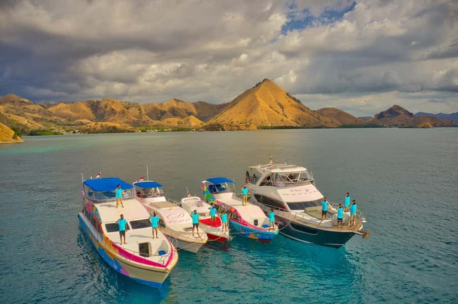 One-Day Komodo Tour By Speedboat - Who This Tour Suits Best (and Who Should Skip It)