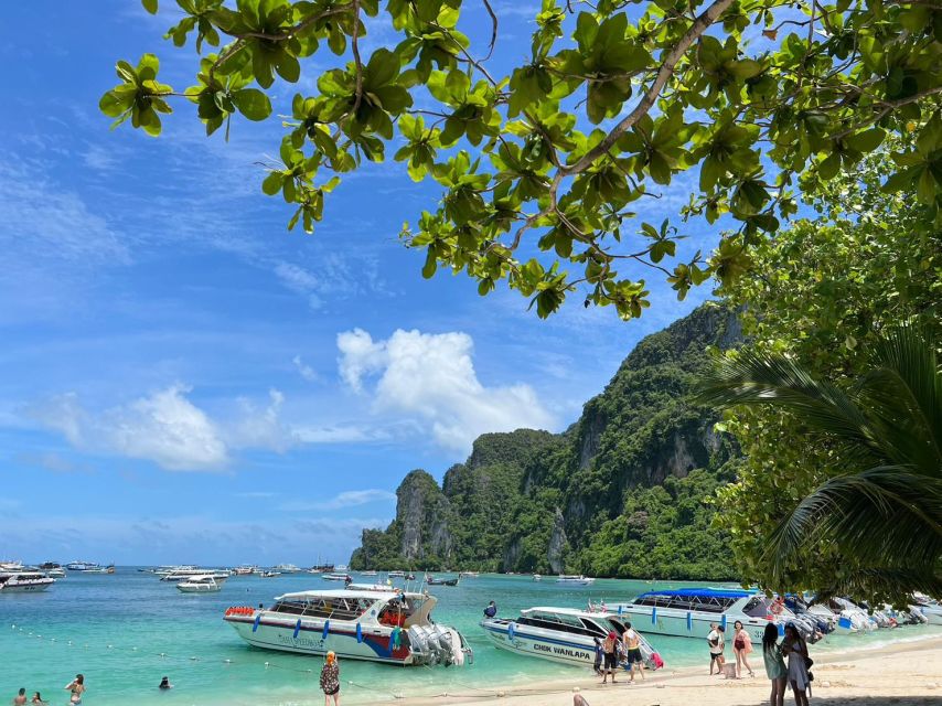 One Day Phi Phi Island by speed boat ( Join ) - Monkey Bay: macaques, sandy beach photos, and quick coral time