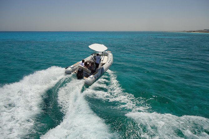 Orange Bay Island By Speedboat - Dolphin odds and the “real day at sea” feeling