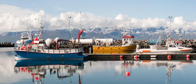 Original Big Whale Safari & Puffins Speedboat Tour from Húsavík - Quick hits before you go
