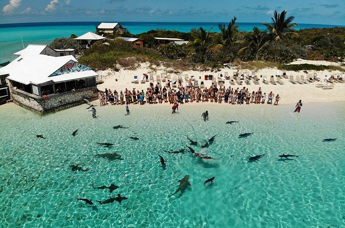 Original Exuma Powerboat Adventures - Allen’s Cay Iguanas: The Most Emotional Stop on the Schedule