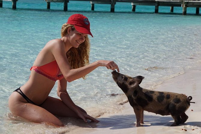 Original Exuma Powerboat Adventures - Price and Value: What You’re Actually Paying For
