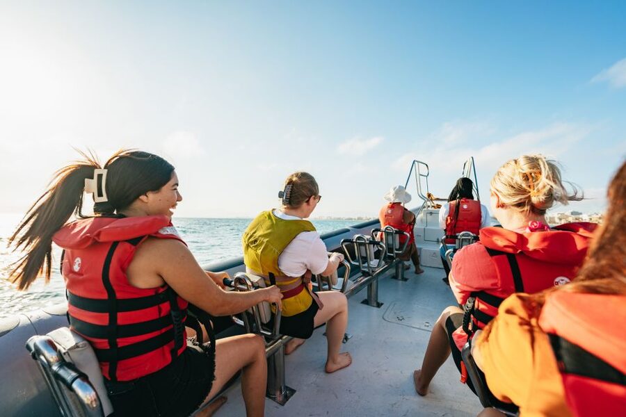 Palma Bay: 1-Hour Speedboat Adventure - Comfort and Motion: What the No-Whiplash Praise Means for You