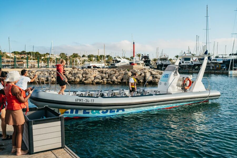 Palma Bay: 1-Hour Speedboat Adventure - Who This Is Best For (And Who Should Skip It)