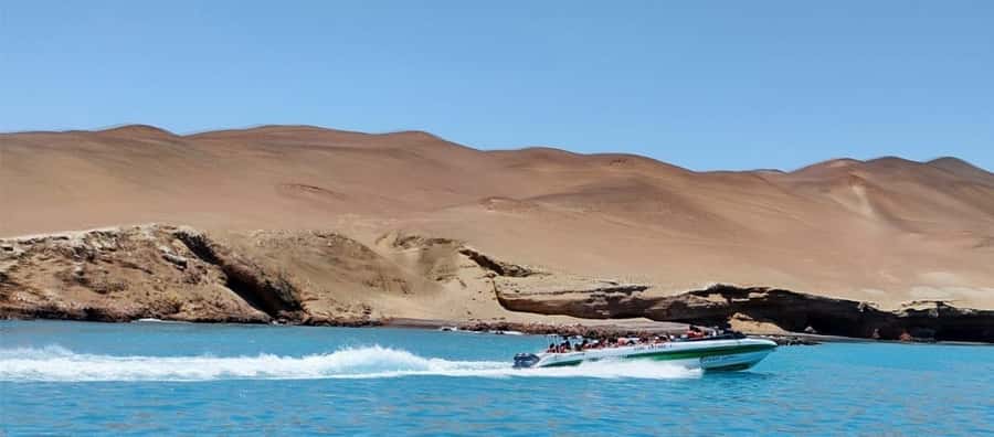 Paracas: speedboat BALLESTAS ISLANDS TOUR - Key highlights worth your attention