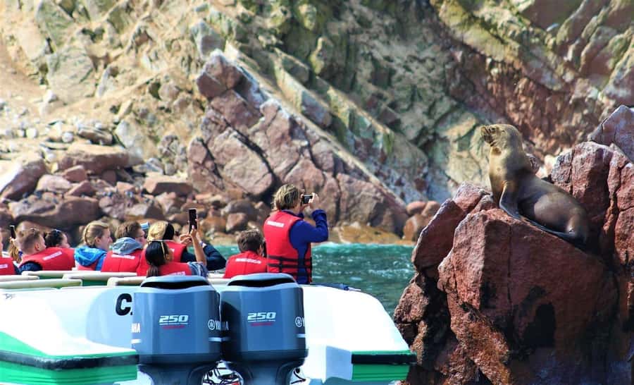 Paracas: speedboat BALLESTAS ISLANDS TOUR - Plaza El Chaco check-in and how to not feel rushed