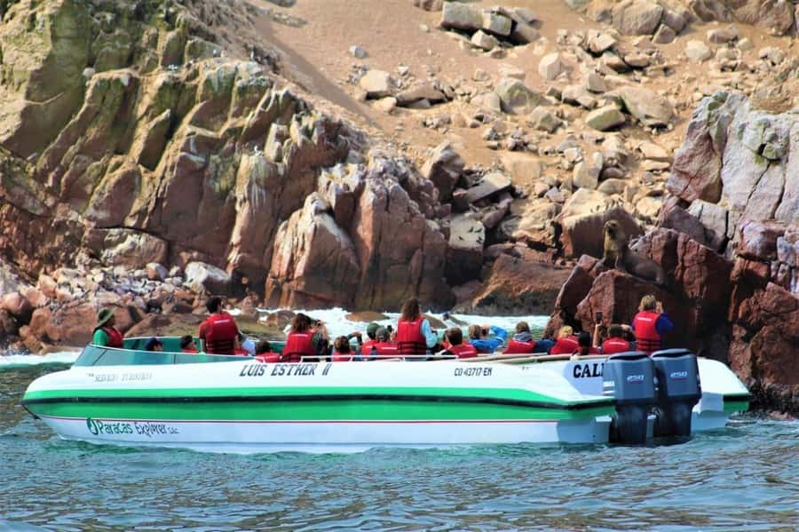 Paracas: speedboat BALLESTAS ISLANDS TOUR - El Candelabro: the geoglyph stop with real scale
